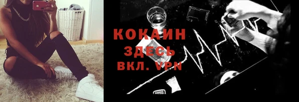прущие грибы Михайловск