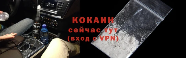 прущие грибы Михайловск