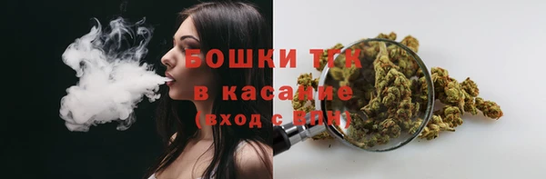 прущие грибы Михайловск