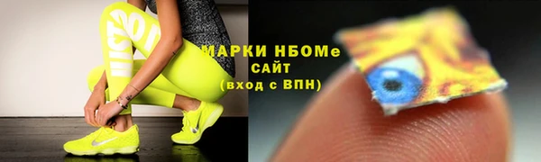 прущие грибы Михайловск