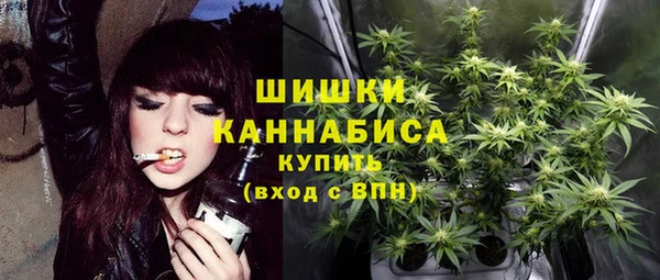 прущие грибы Михайловск