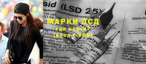 прущие грибы Михайловск