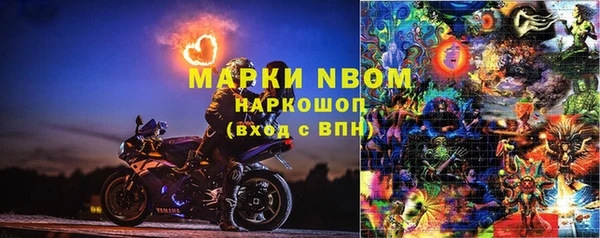 прущие грибы Михайловск