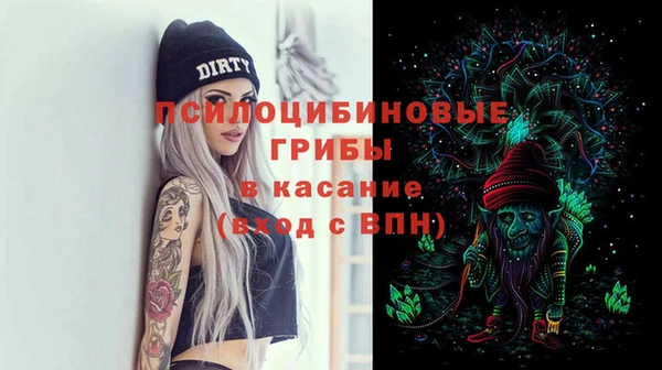 прущие грибы Михайловск