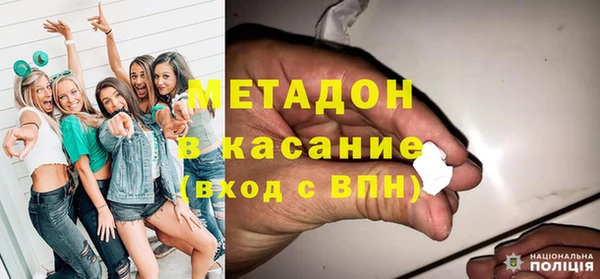 прущие грибы Михайловск