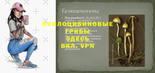 прущие грибы Михайловск