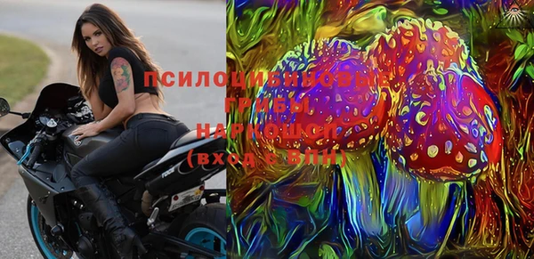 прущие грибы Михайловск