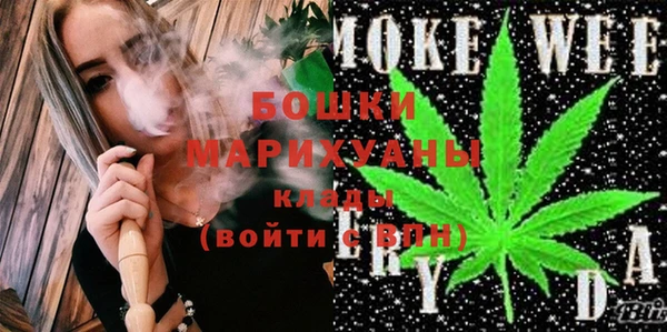 прущие грибы Михайловск
