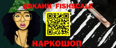 крисы Новозыбков