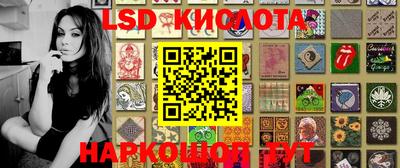 крисы Новозыбков
