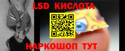 крисы Новозыбков