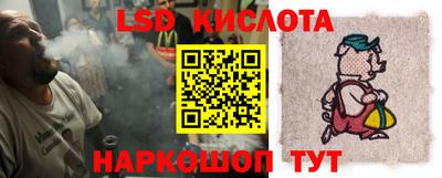 амф Новодвинск