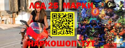 крисы Новозыбков