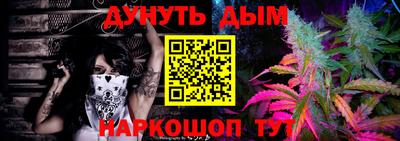 амф Новодвинск