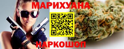 крисы Новозыбков