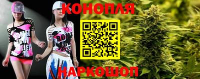 крисы Новозыбков