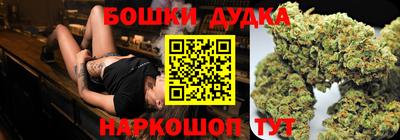 крисы Новозыбков