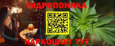 крисы Новозыбков