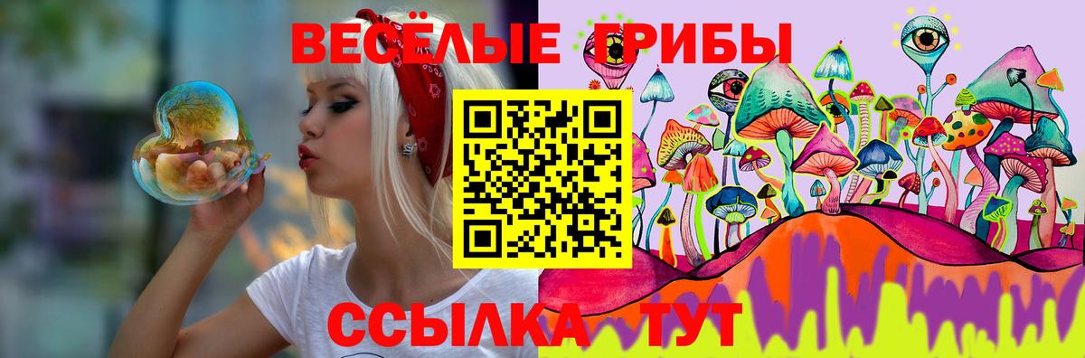 Галлюциногенные грибы мухоморы  Вход с VPN  Галлюциногенные грибы Psilocybe  Рассказово 