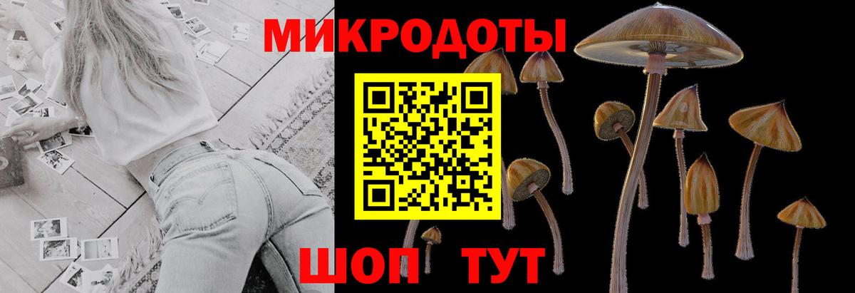 Галлюциногенные грибы мухоморы Рассказово