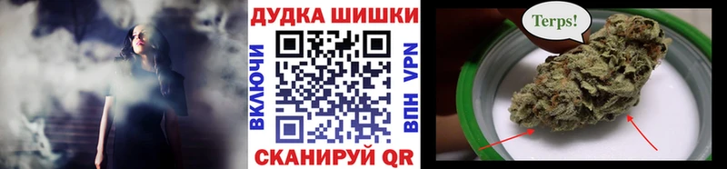 продажа наркотиков  Рассказово  Марихуана планчик 